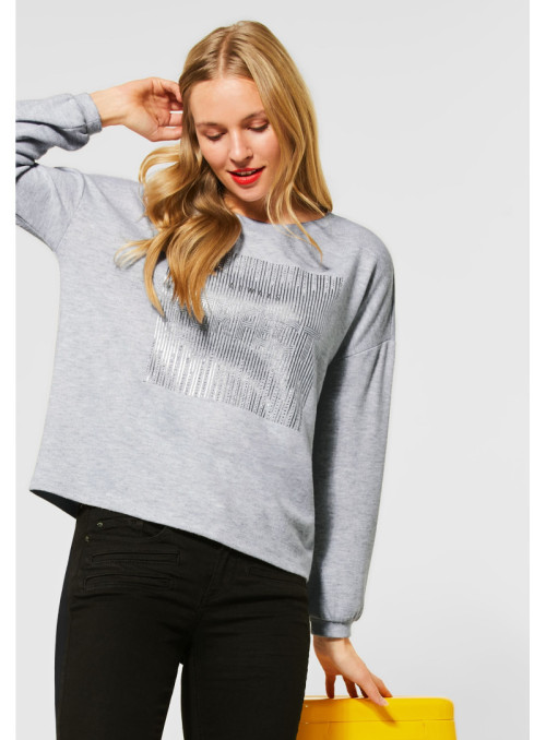  Sweatshirt with frontprint